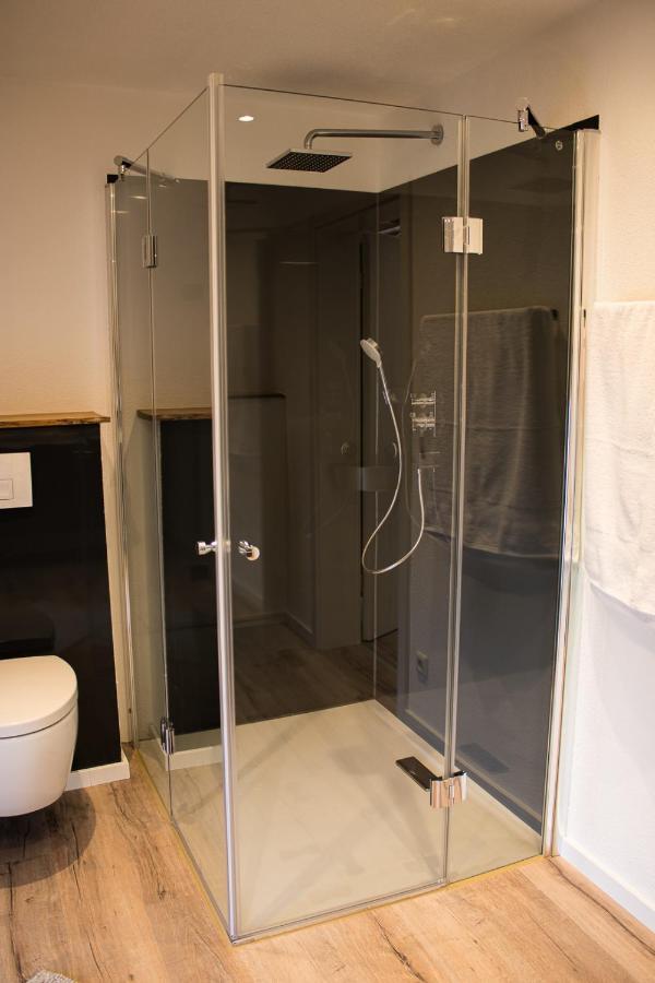 Apartment Im Alten Fronhof Balingen Zewnętrze zdjęcie
